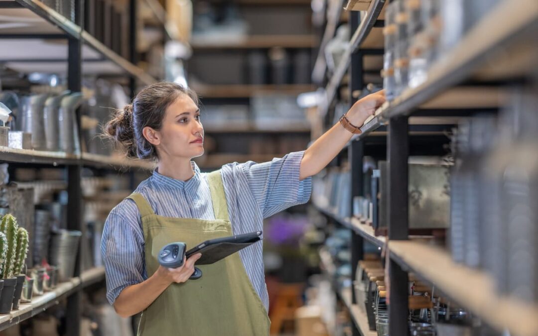 Gestionale per PMI: come supportare la crescita dell’azienda